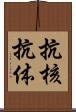 抗核抗体 Scroll