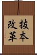 抜本改革 Scroll