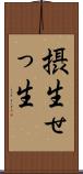 摂生 Scroll