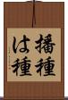 播種 Scroll