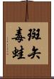 斑矢毒蛙 Scroll