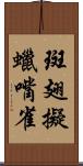 斑翅擬蠟嘴雀 Scroll