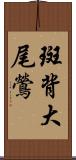 斑背大尾鶯 Scroll