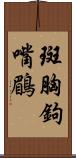 斑胸鉤嘴鶥 Scroll