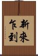 新來乍到 Scroll