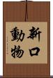 新口動物 Scroll