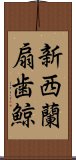 新西蘭扇歯鯨 Scroll