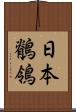 日本鶺鴒 Scroll