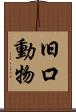 旧口動物 Scroll