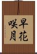早花咲月 Scroll