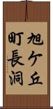 旭ケ丘町長洞 Scroll