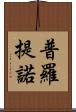 普羅提諾 Scroll