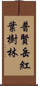 普賢岳紅葉樹林 Scroll