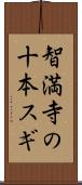 智満寺の十本スギ Scroll