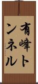 有峰トンネル Scroll