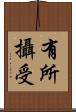 有所攝受 Scroll