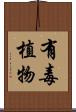 有毒植物 Scroll