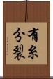 有糸分裂 Scroll