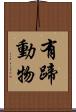 有蹄動物 Scroll