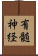 有髄神経 Scroll