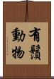有鬚動物 Scroll