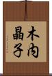 木内晶子 Scroll