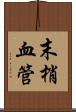 末梢血管 Scroll