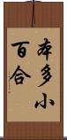 本多小百合 Scroll
