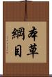 本草綱目 Scroll