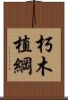 朽木植綱 Scroll
