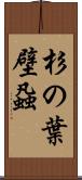 杉の葉壁蝨 Scroll