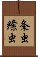 条虫 Scroll