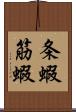 条蝦 Scroll
