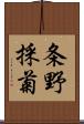 条野採菊 Scroll