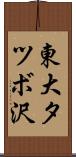 東大タツボ沢 Scroll