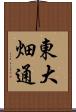 東大畑通 Scroll