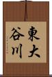 東大谷川 Scroll