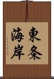 東条海岸 Scroll