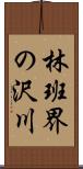 林班界の沢川 Scroll