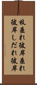 枝垂れ彼岸 Scroll