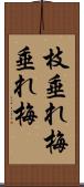 枝垂れ梅 Scroll