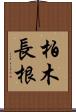 柏木長根 Scroll
