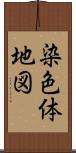染色体地図 Scroll