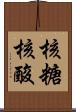 核糖核酸 Scroll
