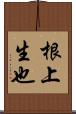 根上生也 Scroll