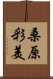 桑原彩美 Scroll