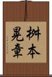 桝本晃章 Scroll
