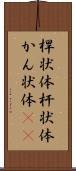 桿状体 Scroll