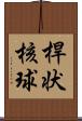 桿状核球 Scroll