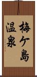 梅ケ島温泉 Scroll